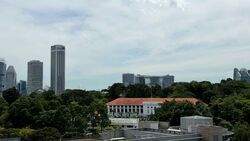 The Rise @ Oxley (D9), Condominium #585509771